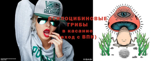 кокс Арсеньев