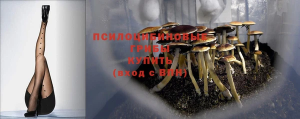 бошки Аркадак