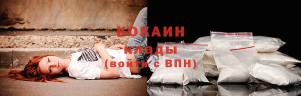 кокс Арсеньев