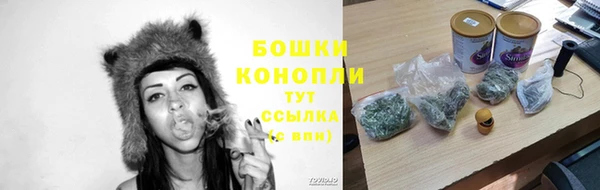 бошки Аркадак
