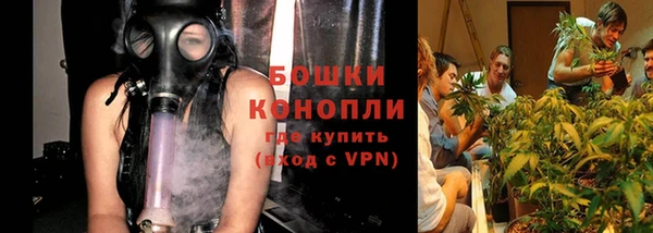 бошки Аркадак