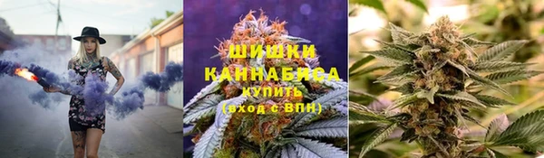 бошки Аркадак