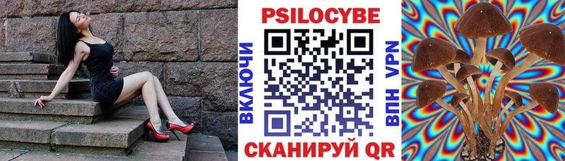 Псилоцибиновые грибы мицелий Волгоград