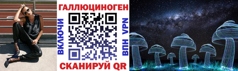 Псилоцибиновые грибы Psilocybe hydra как войти Волгоград
